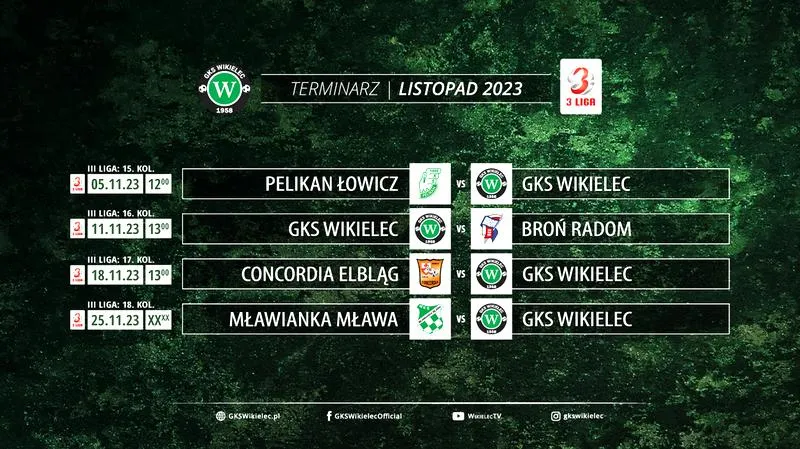 Eliminacje Mistrzostw Świata