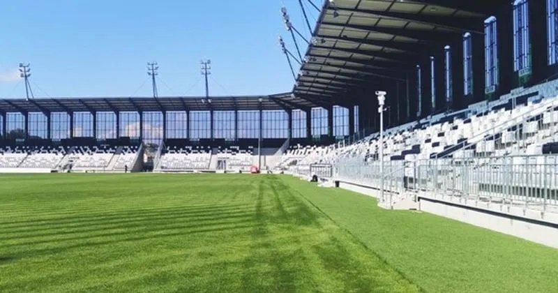 Trawa na stadionie